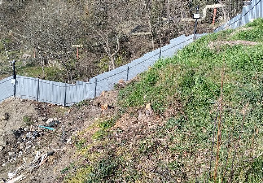 фото (1) Март 2026