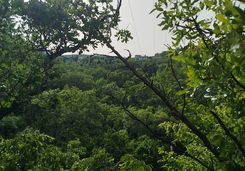 фото (1) Август 2025