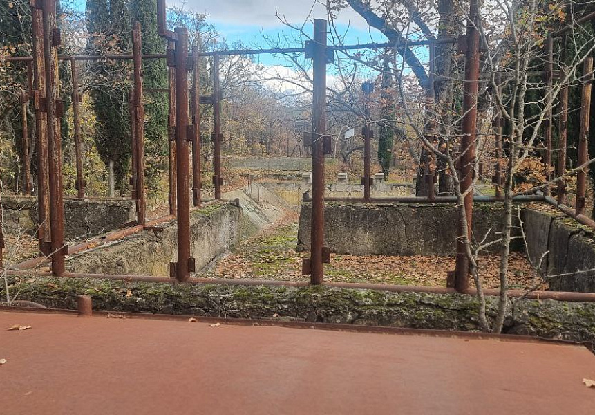 фото (1) Февраль 2026