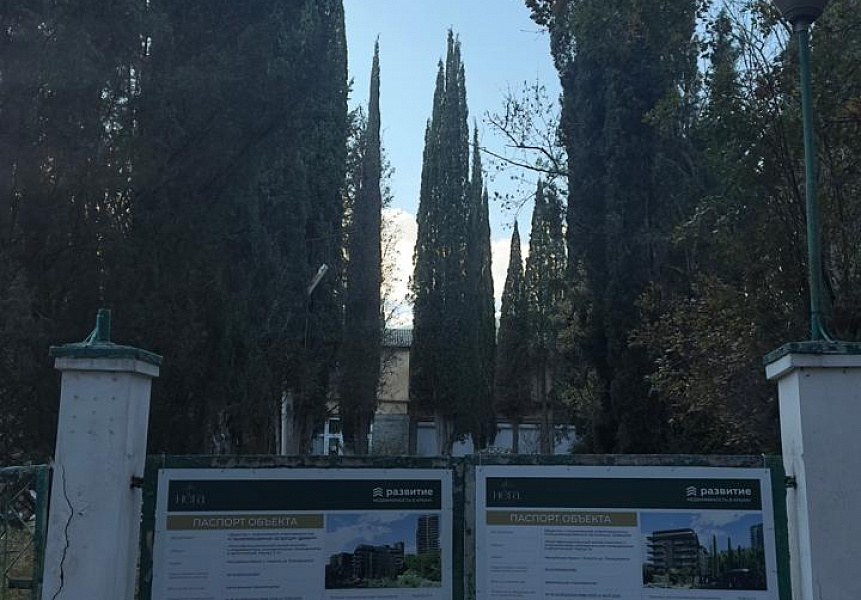 фото (1) Ноябрь 2025